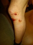 IMG00002-20090511-2239.jpg
