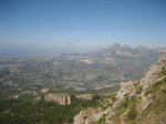IMG_9023.jpg