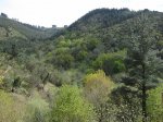 trekking-ganeko_70.jpg