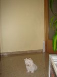 DSC05008a.JPG