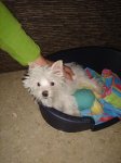 DSC05013a.JPG