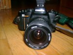 DSC05975.jpg