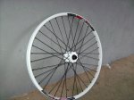 ruedas 058.jpg