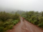 17042010149.jpg