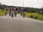 DSC08887.jpg