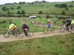 DSC08884.jpg