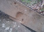 Afotos nuevas0271.jpg