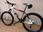Conor AXF_Rbem70 (02).jpg