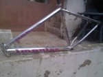 26022010214.jpg