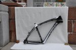 MTB750paint.jpg