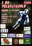 CARTEL PELEAGONZALO DH.jpg