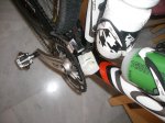 IMGP2116.jpg