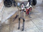 22042010067.jpg