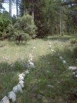 ruta 19-06-08 (12).jpg