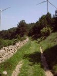 ruta 19-06-08 (6).jpg