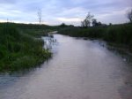 DSC01825.jpg