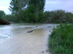 DSC01820.jpg