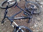 05042010306.jpg