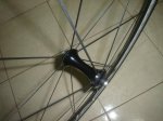 DSC00788.jpg