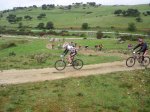 DSC08878.jpg
