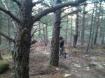 IMG_0696.jpg