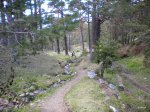 DSCN1475.JPG