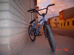 DSC07851.JPG