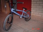DSC07853.JPG