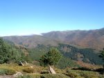 Imagen 3 029.jpg
