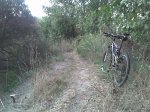Imagen035.jpg