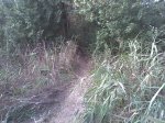 Imagen036.jpg
