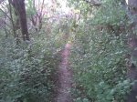 Imagen037.jpg