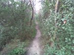 Imagen038.jpg