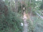 Imagen039.jpg
