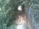 Imagen040.jpg