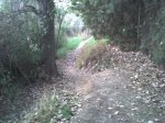 Imagen048.jpg