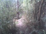 Imagen051.jpg