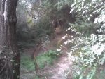 Imagen052.jpg