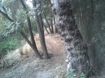 Imagen053.jpg