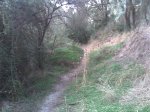 Imagen054.jpg