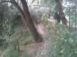 Imagen056.jpg