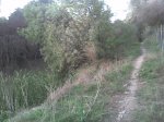Imagen058.jpg