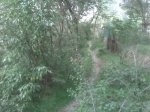 Imagen063.jpg