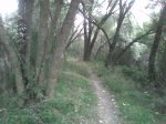 Imagen064.jpg