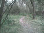 Imagen065.jpg