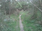 Imagen066.jpg