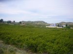 Foto44.jpg
