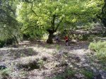 24042010021.jpg