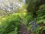 24042010025.jpg