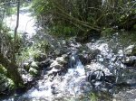 24042010024.jpg